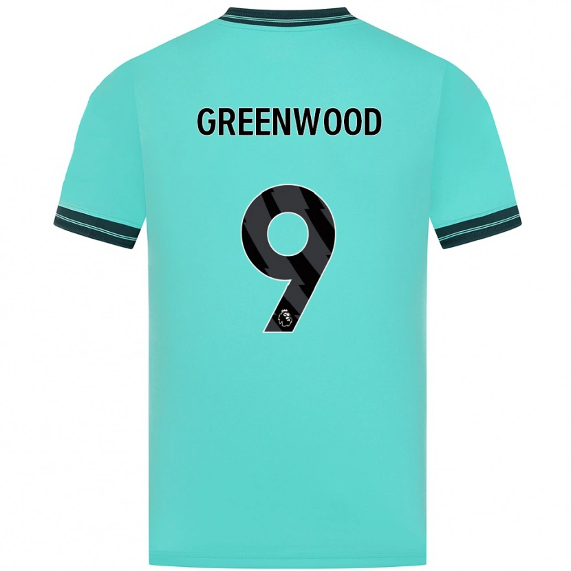 Danxen Mænd Jashayde Greenwood #9 Himmelblå Grøn Udebane Spillertrøjer 2025/26 Trøje T-Shirt
