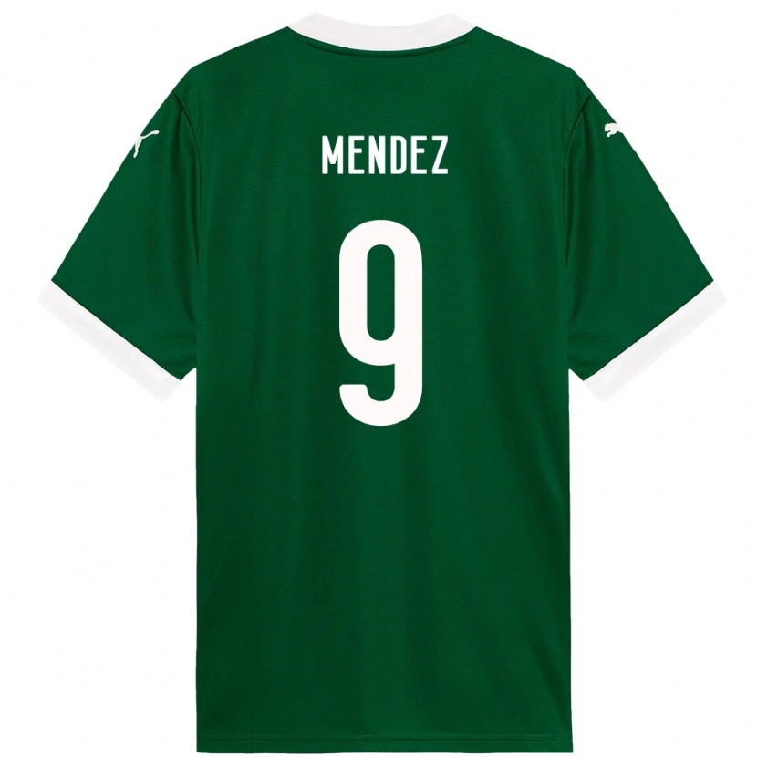 Danxen Børn Cesar Mendez #9 Hvid Grøn Hjemmebane Spillertrøjer 2025/26 Trøje T-Shirt