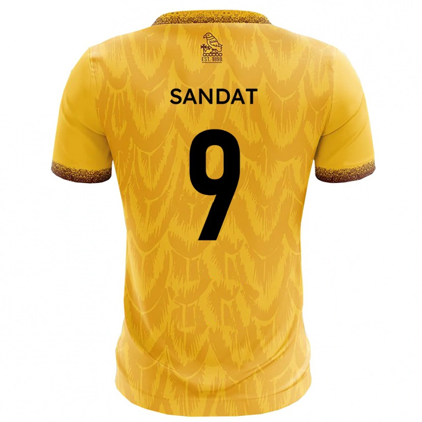 Danxen Børn Henry Sandat #9 Gul Brun Hjemmebane Spillertrøjer 2025/26 Trøje T-Shirt