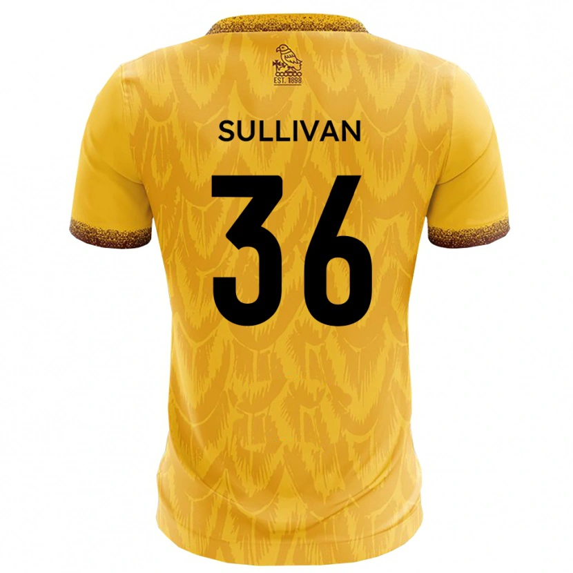 Danxen Børn Cameron Sullivan #36 Gul Brun Hjemmebane Spillertrøjer 2025/26 Trøje T-Shirt