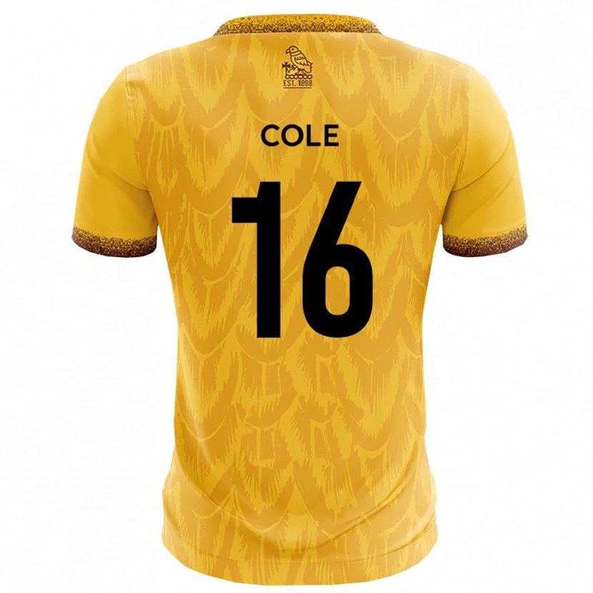 Danxen Mænd Harry Cole #16 Gul Brun Hjemmebane Spillertrøjer 2025/26 Trøje T-Shirt