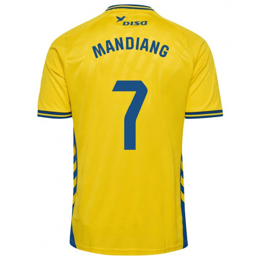 Danxen Mænd Saliou Mandiang #7 Gul Blå Hjemmebane Spillertrøjer 2025/26 Trøje T-Shirt