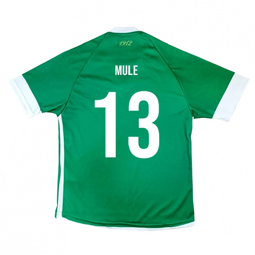 Danxen Børn Erasmo Mulè #13 Grøn Hvid Hjemmebane Spillertrøjer 2025/26 Trøje T-Shirt