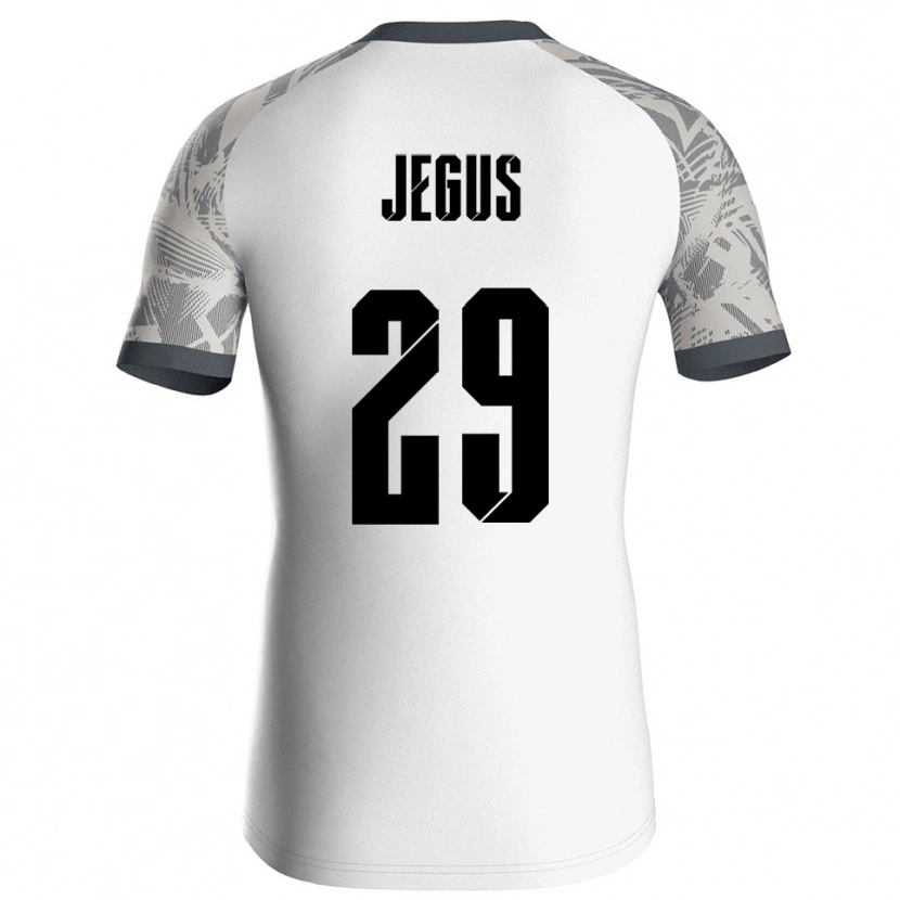 Danxen Mænd Leonard Jegus #29 Grå Hvid Målmandstrøje 2025/26 Trøje T-shirt