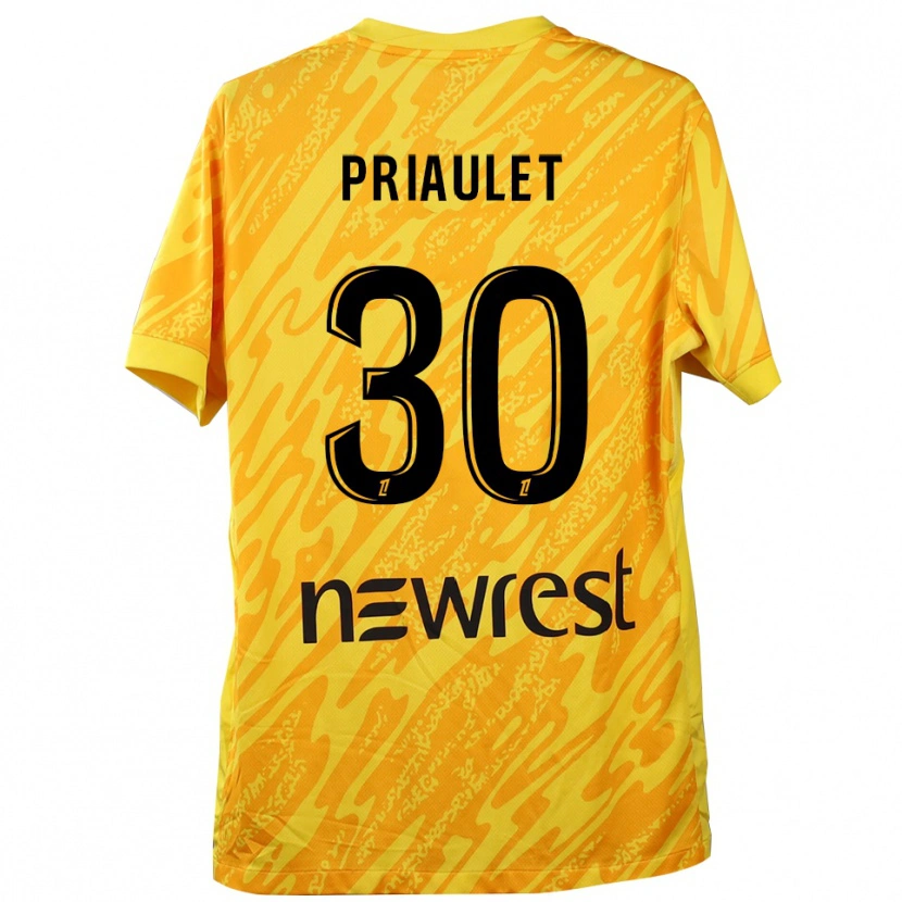 Danxen Mænd Anaïs Priaulet #30 Gul Sort Målmandstrøje 2025/26 Trøje T-shirt