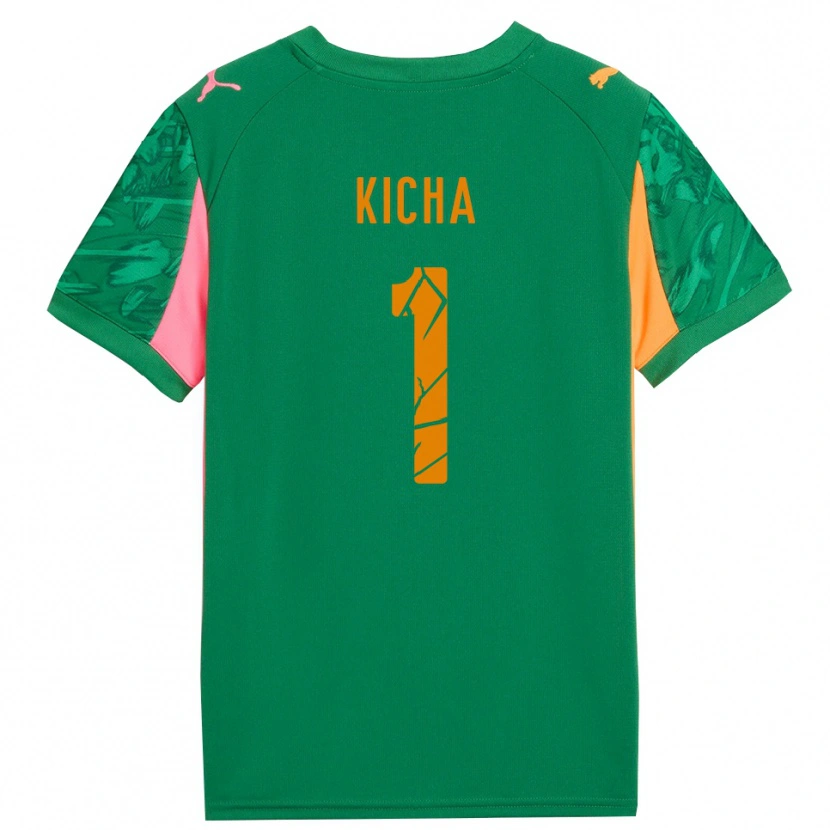 Danxen Mænd Tymofiy Kicha #1 Grøn Orange Pink Målmandstrøje 2025/26 Trøje T-shirt