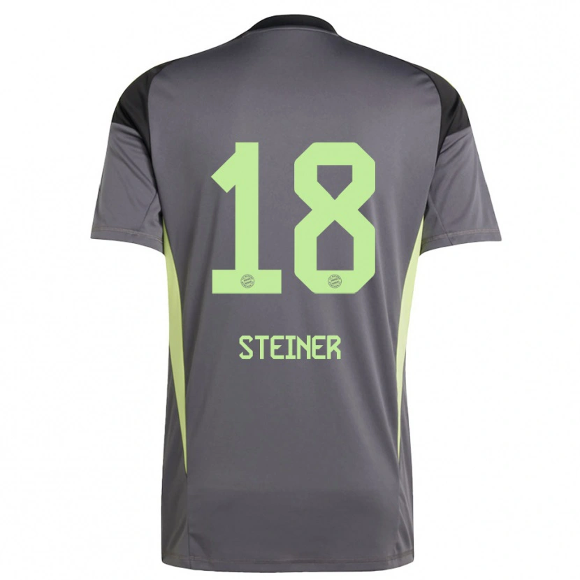 Danxen Mænd Michael Steiner #18 Sort Grøn Gul Målmandstrøje 2025/26 Trøje T-shirt