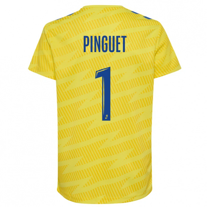 Danxen Kvinder Alice Pinguet #1 Gul Blå Målmandstrøje 2025/26 Trøje T-shirt
