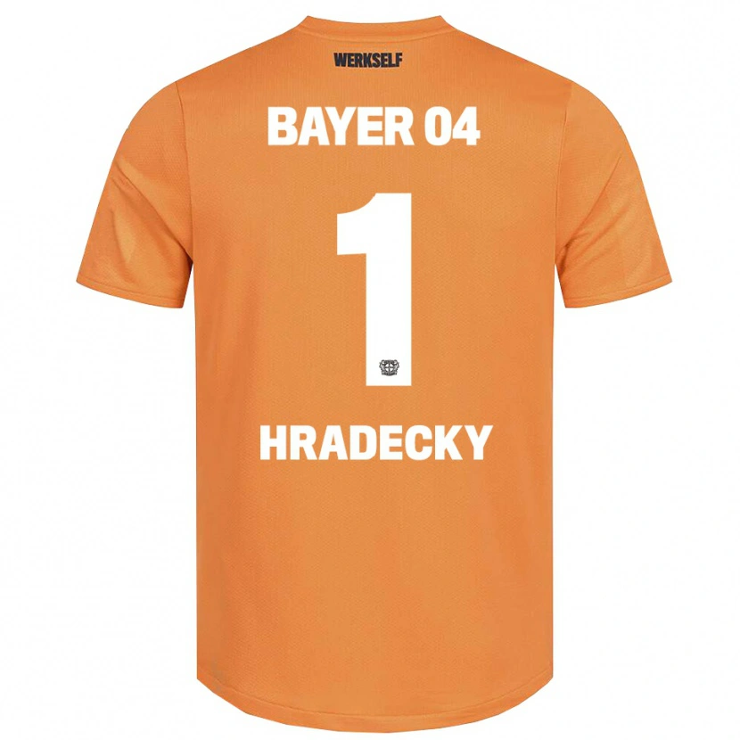 Danxen Kvinder Lukas Hradecky #1 Sandbrun Målmandstrøje 2025/26 Trøje T-shirt