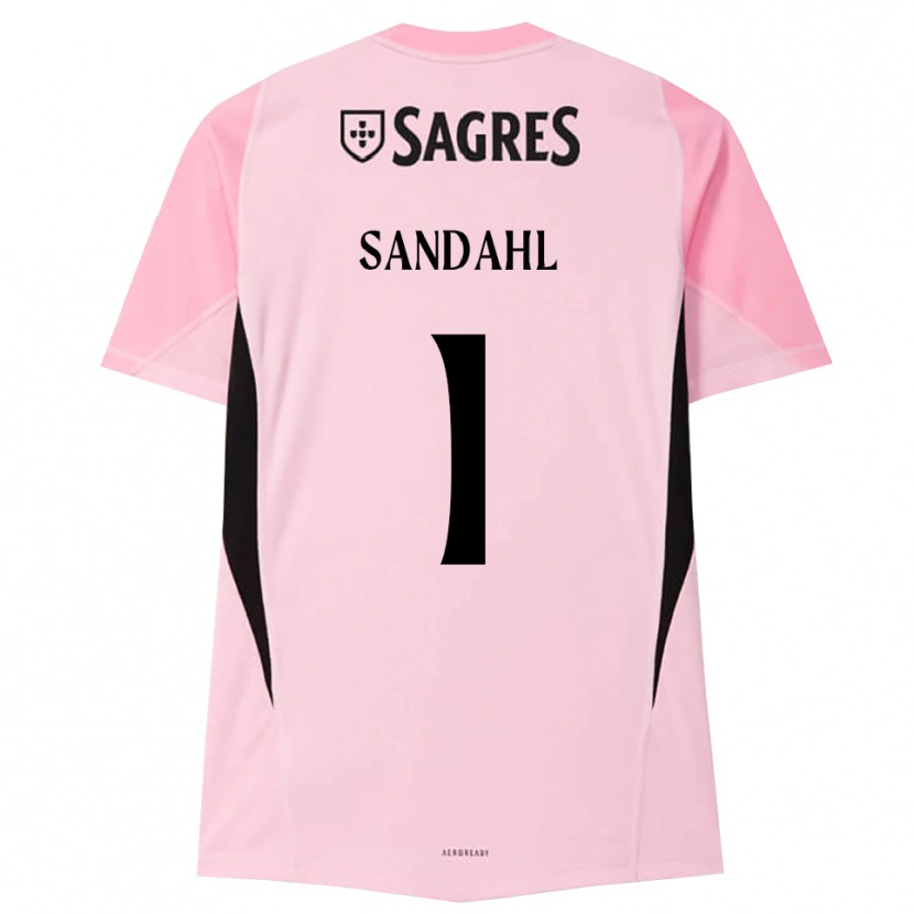 Danxen Kvinder Alexander Sandahl #1 Pink Sort Målmandstrøje 2025/26 Trøje T-shirt