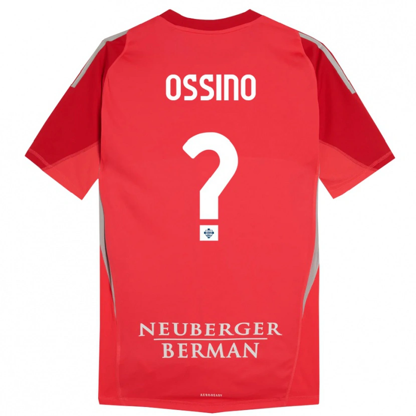 Danxen Kvinder Daniel Ossino #0 Rød Grå Målmandstrøje 2025/26 Trøje T-shirt
