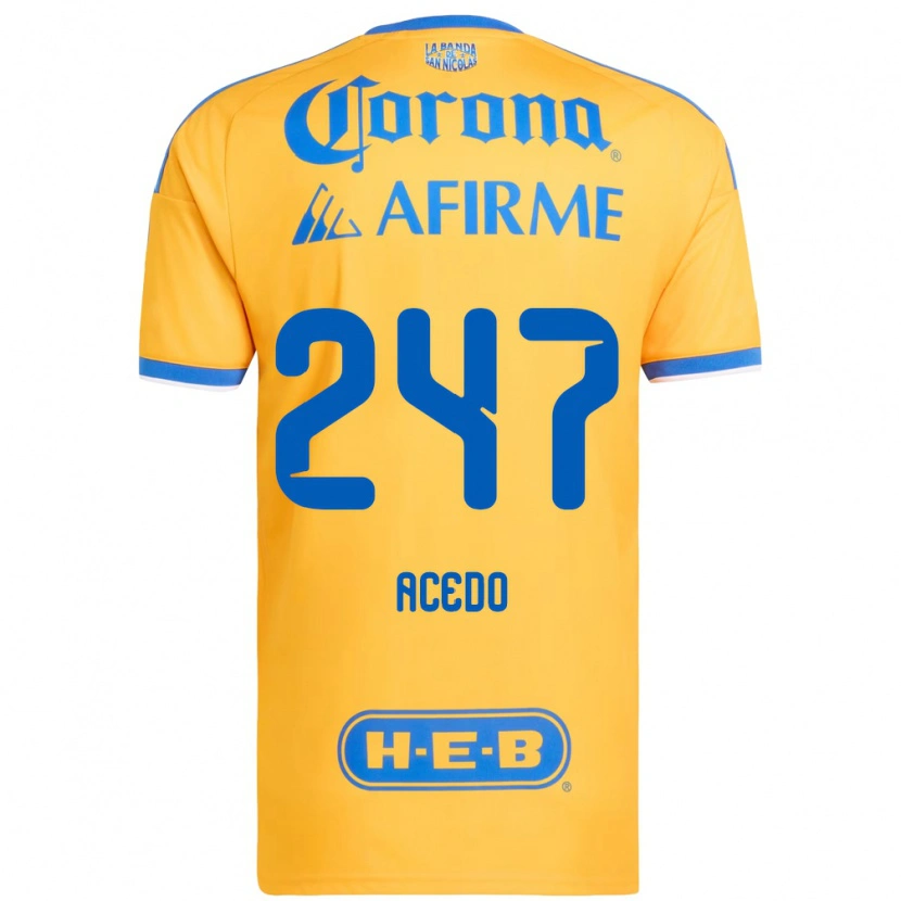 Danxen Børn Kevin Acedo #247 Gul Blå Hjemmebane Spillertrøjer 2026/27 Trøje T-Shirt
