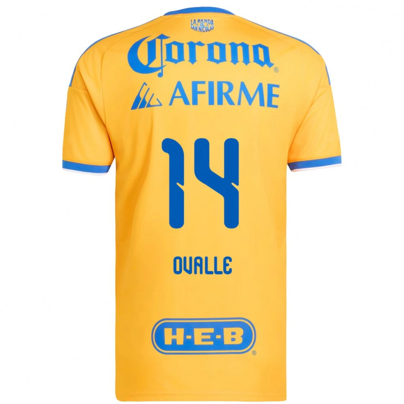 Danxen Mænd Lizbeth Ovalle #14 Gul Blå Hjemmebane Spillertrøjer 2026/27 Trøje T-Shirt