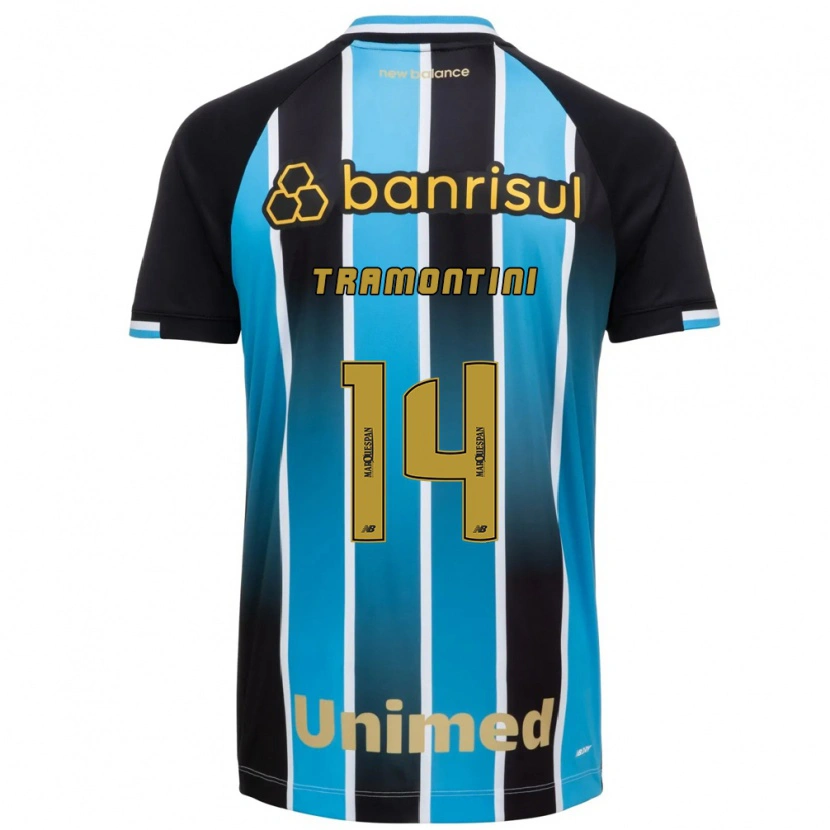 Danxen Mænd Bernardo Tramontini #14 Blå Brun Sort Hjemmebane Spillertrøjer 2026/27 Trøje T-Shirt