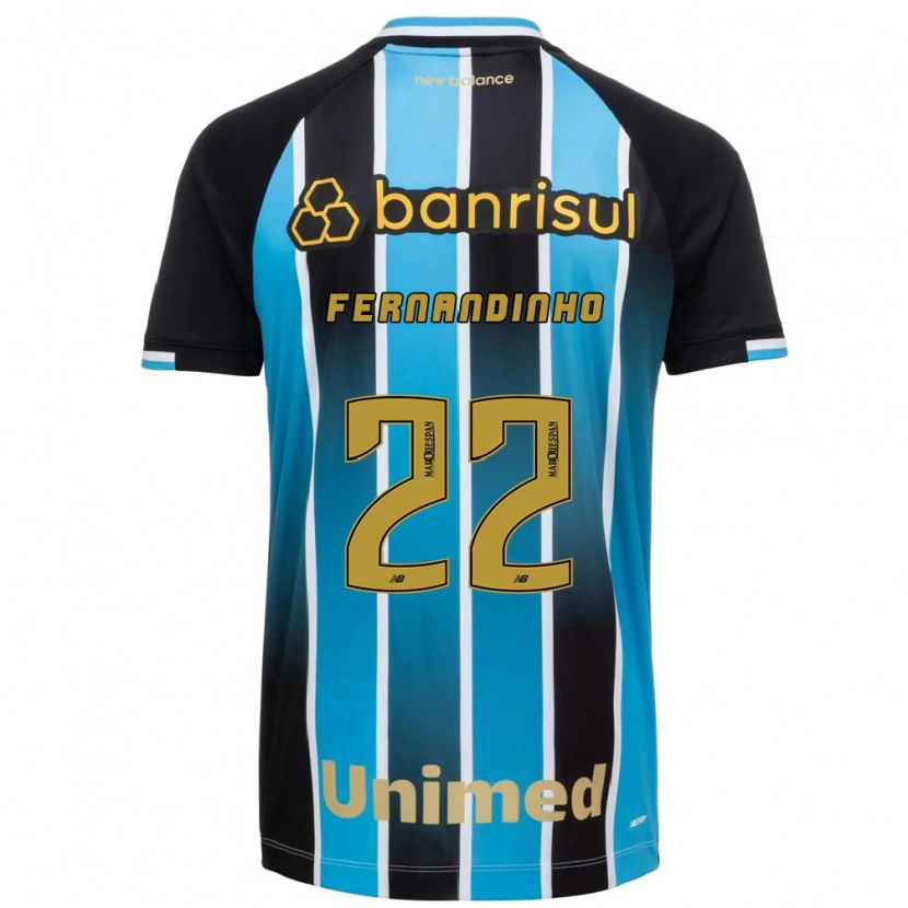 Danxen Mænd Fernandinho #22 Blå Brun Sort Hjemmebane Spillertrøjer 2026/27 Trøje T-Shirt