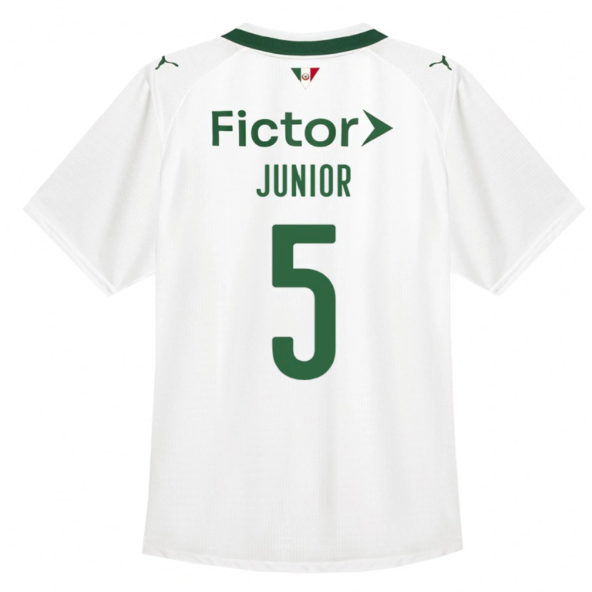 Danxen Mænd Amilton Junior #5 Grøn Hvid Udebane Spillertrøjer 2026/27 Trøje T-Shirt