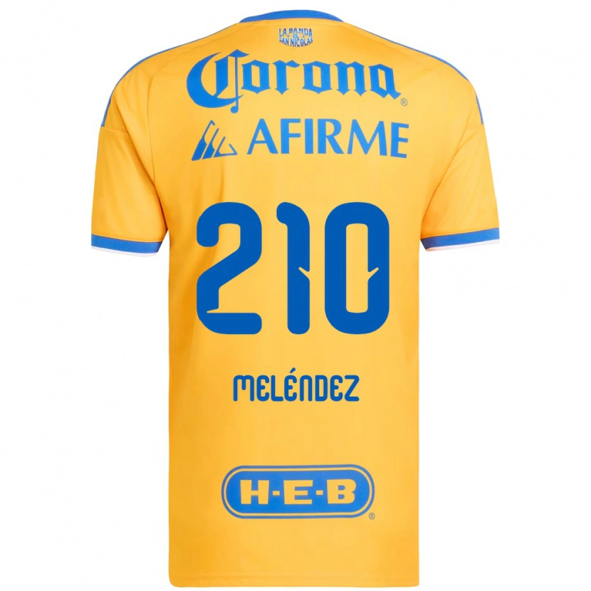 Danxen Kvinder Marcelo Meléndez #210 Gul Blå Hjemmebane Spillertrøjer 2026/27 Trøje T-Shirt