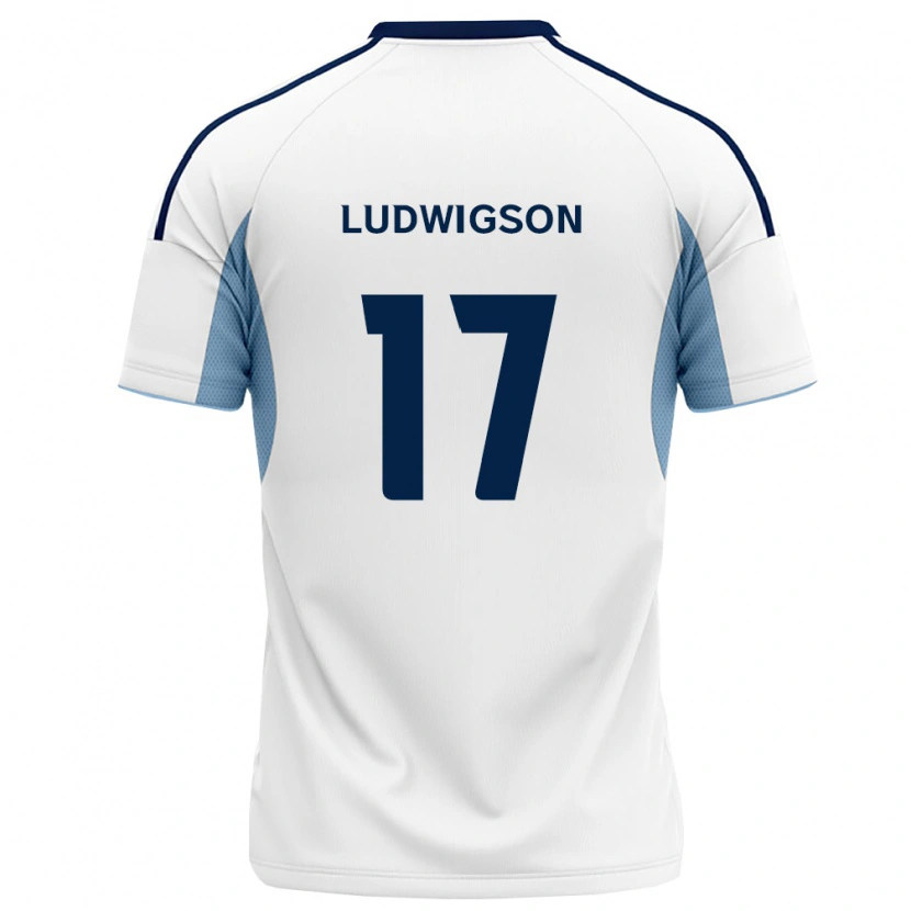 Danxen Mænd Gustav Ludwigson #17 Kongelig Blå Hvid Udebane Spillertrøjer 2026/27 Trøje T-Shirt
