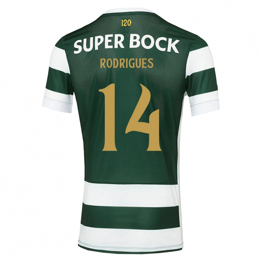 Danxen Børn Paulo Rodrigues #14 Mørkskifergrå Hvid Hjemmebane Spillertrøjer 2026/27 Trøje T-Shirt