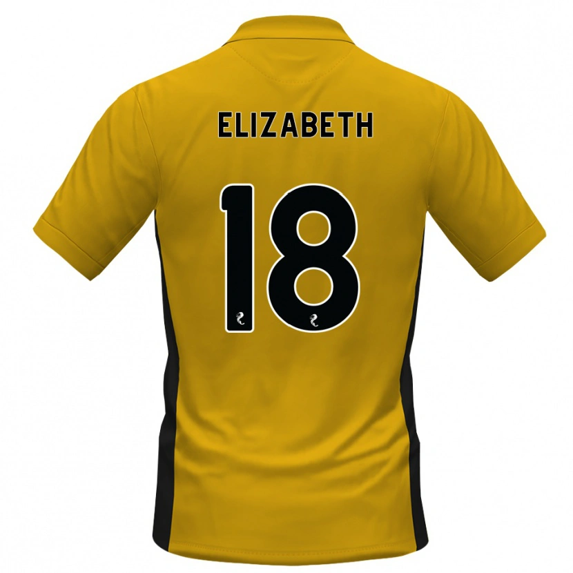 Danxen Mænd Ashley Elizabeth #18 Orange Sort Hjemmebane Spillertrøjer 2026/27 Trøje T-Shirt