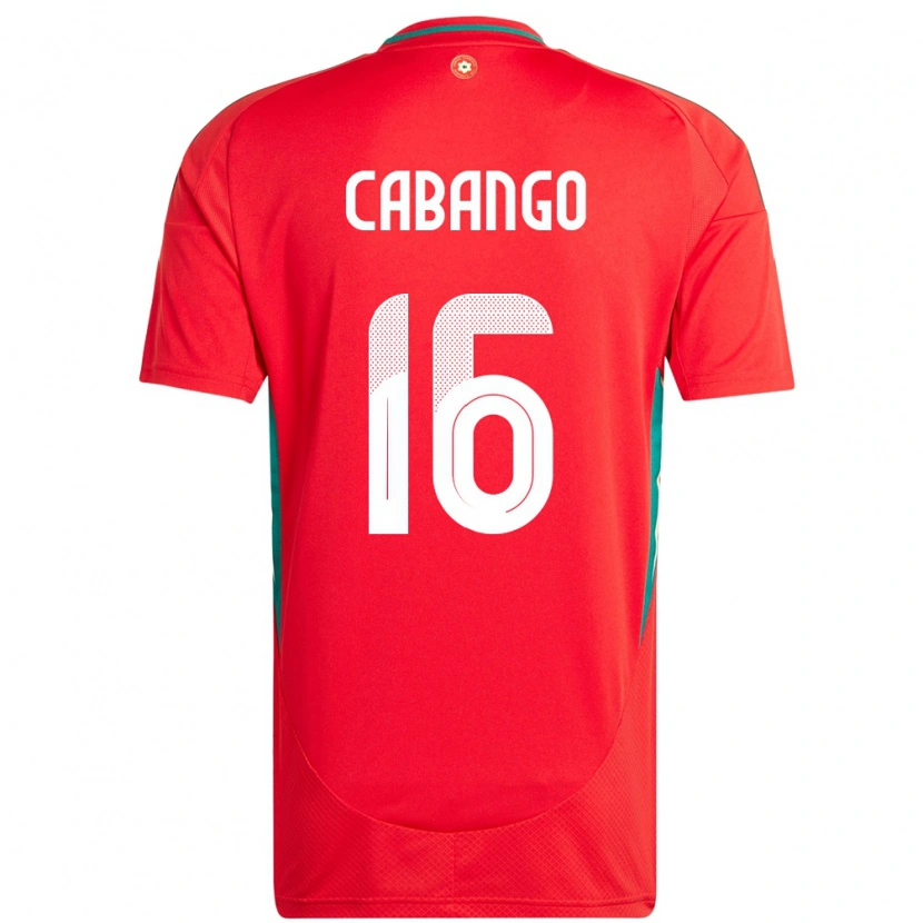Danxen Børn Wales Ben Cabango #16 Rød Hjemmebane Spillertrøjer 24-26 Trøje T-Shirt