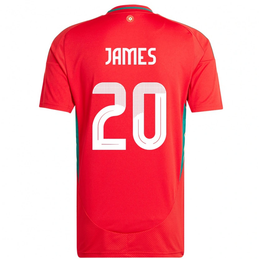 Danxen Børn Wales Daniel James #20 Rød Hjemmebane Spillertrøjer 24-26 Trøje T-Shirt