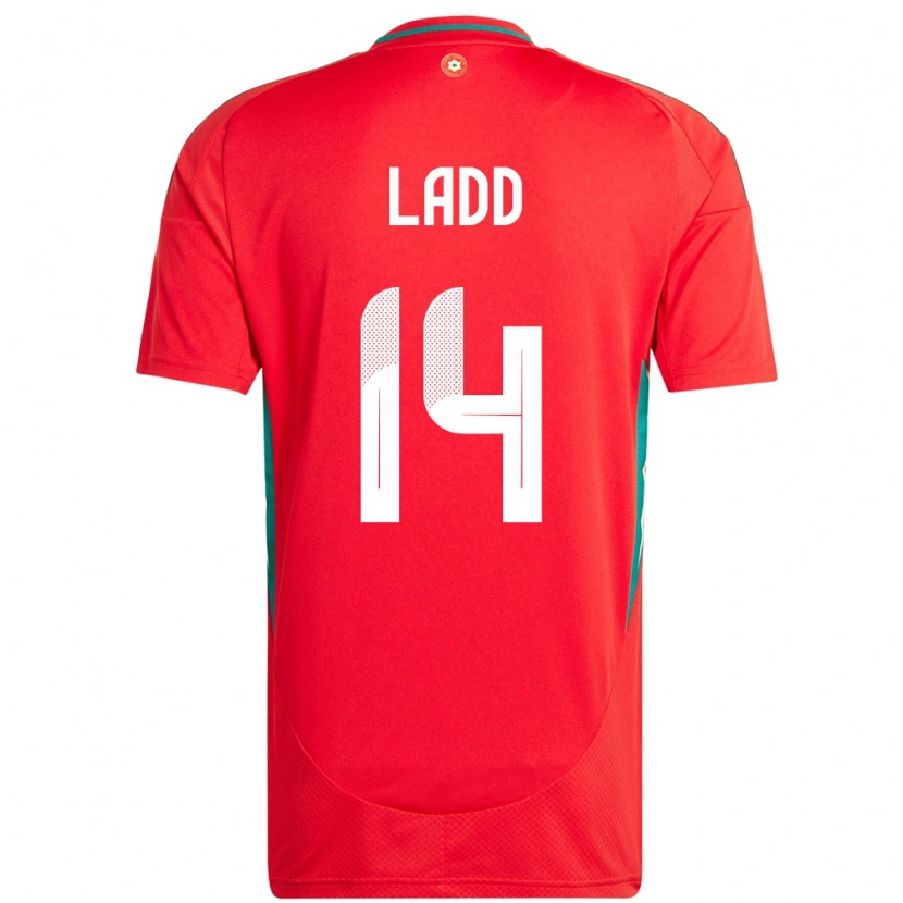 Danxen Børn Wales Hayley Ladd #14 Rød Hjemmebane Spillertrøjer 24-26 Trøje T-Shirt