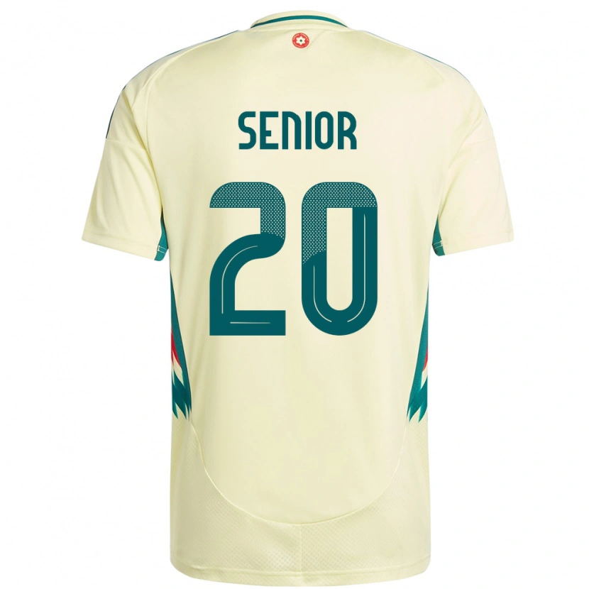 Danxen Børn Wales Matt Senior #20 Beige Gul Udebane Spillertrøjer 24-26 Trøje T-Shirt