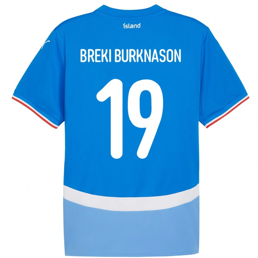 Danxen Kvinder Island Birnir Breki Burknason #19 Blå Hjemmebane Spillertrøjer 24-26 Trøje T-Shirt