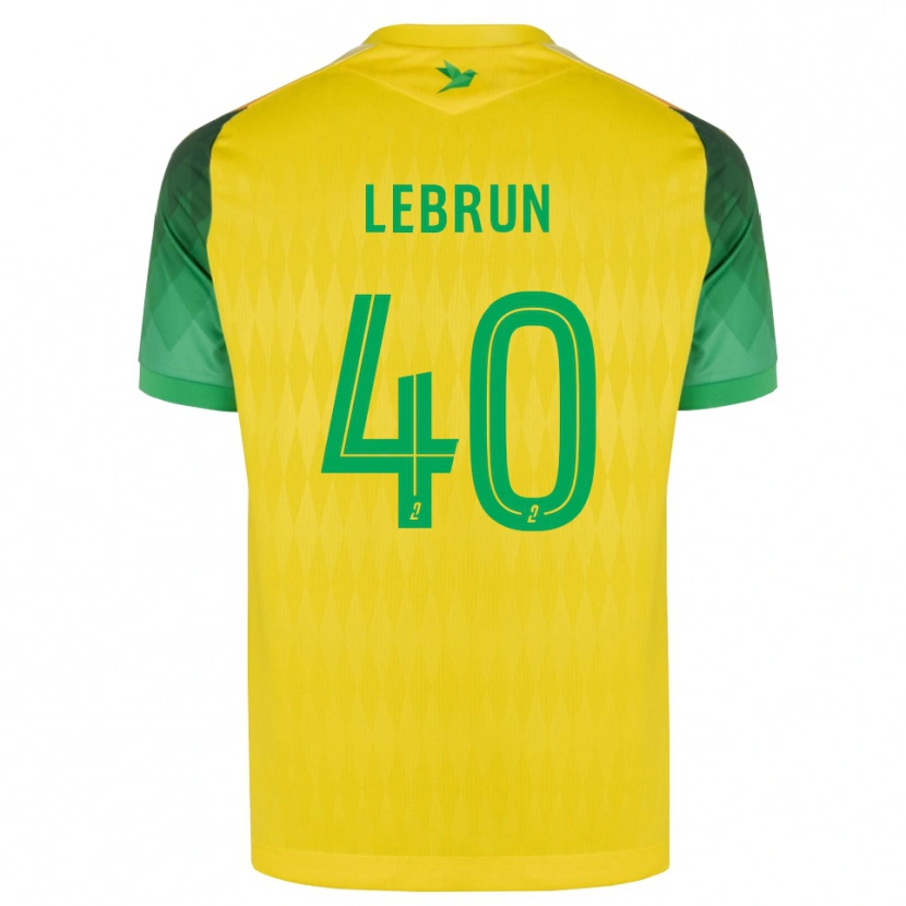 Danxen Mænd Lisa Lebrun #40 Gul Grøn Rød Hjemmebane Spillertrøjer 2026/27 Trøje T-Shirt