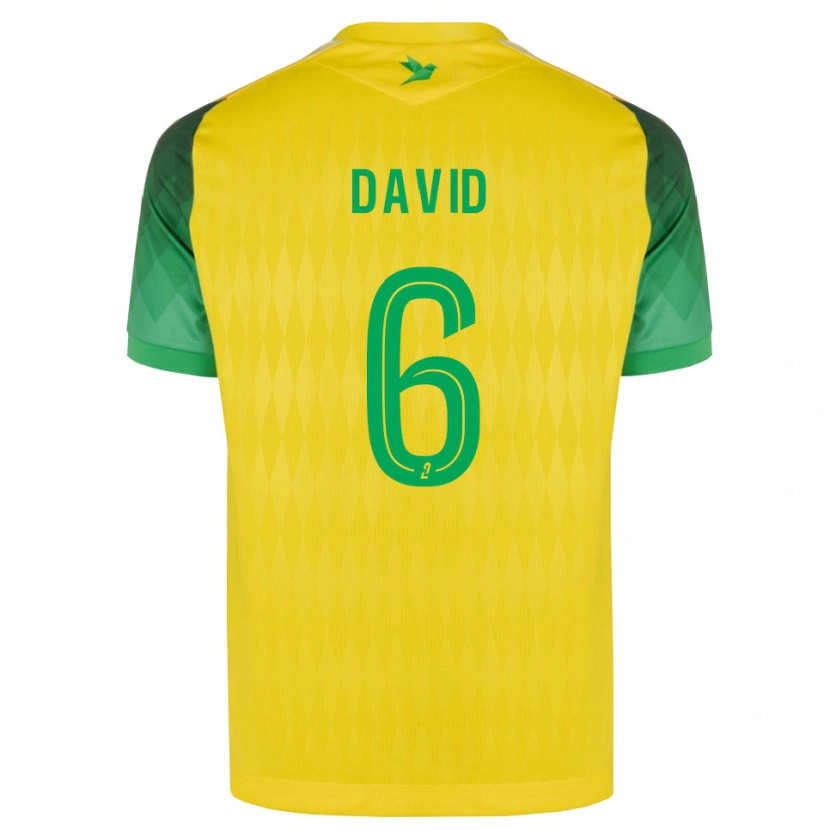 Danxen Kvinder Timothé David #6 Gul Grøn Rød Hjemmebane Spillertrøjer 2026/27 Trøje T-Shirt