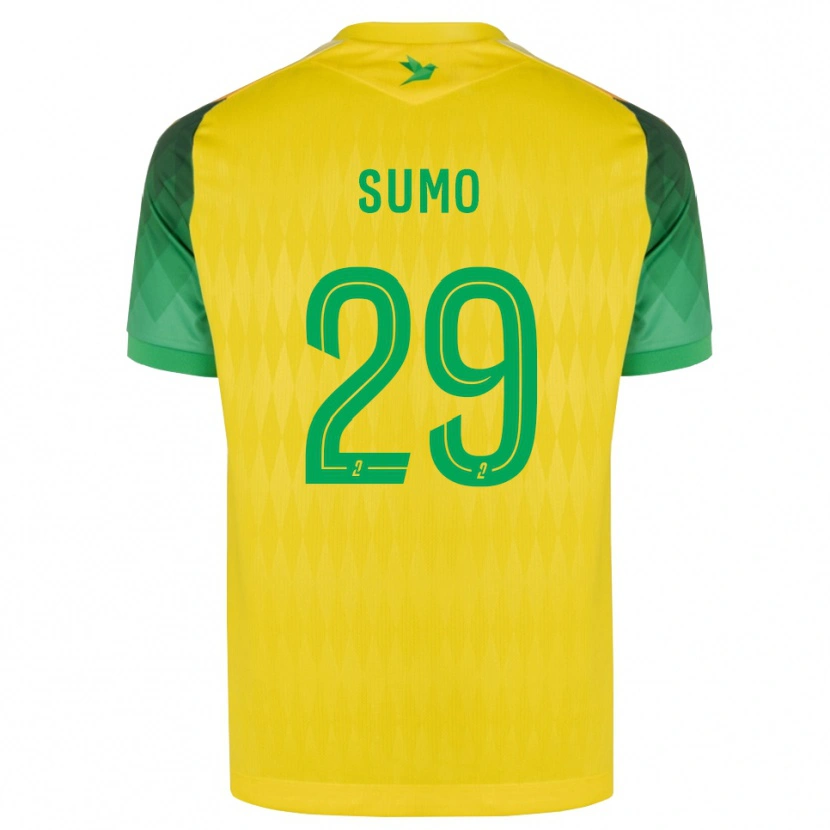 Danxen Kvinder Eva Sumo #29 Gul Grøn Rød Hjemmebane Spillertrøjer 2026/27 Trøje T-Shirt