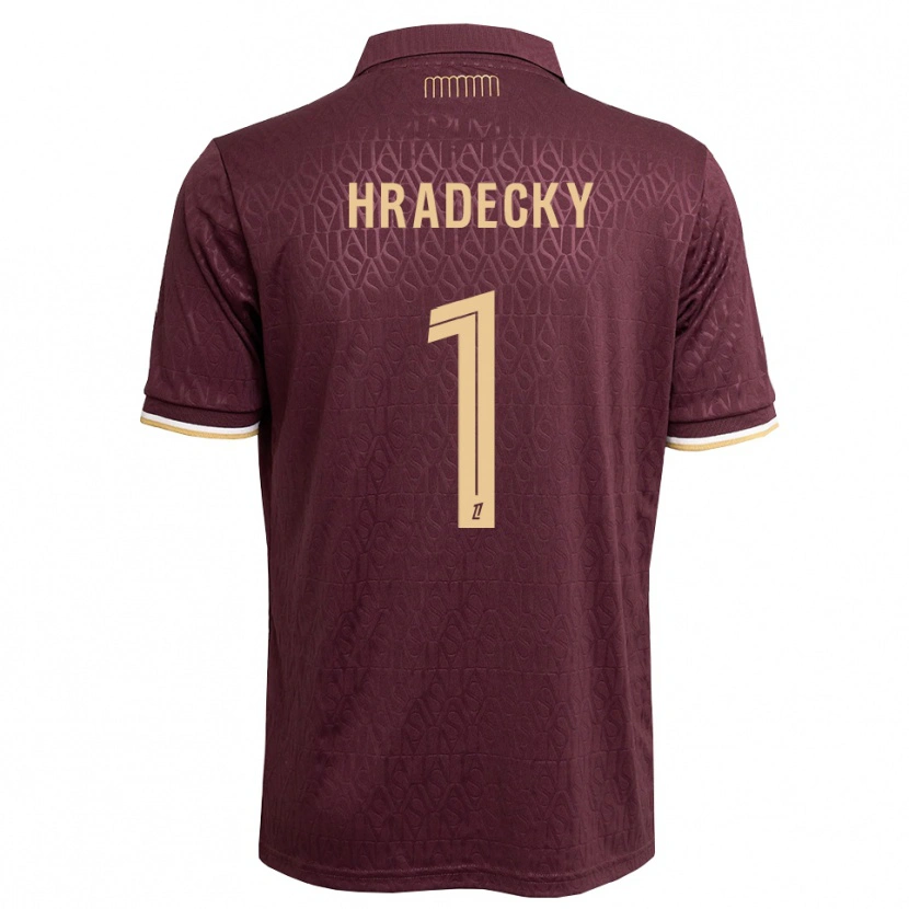 Danxen Kvinder Lukas Hradecky #1 Mørkerød Sandfarvet Udebane Spillertrøjer 2026/27 Trøje T-Shirt