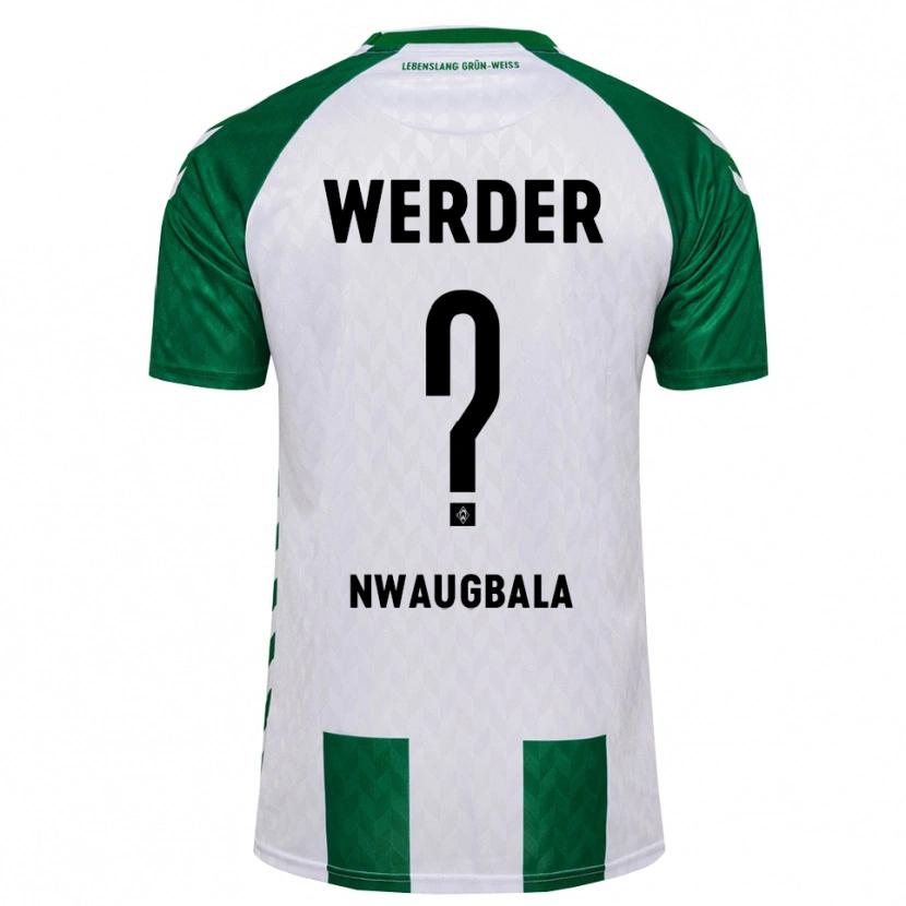Danxen Mænd Kevin Nwaugbala #0 Grøn Hvid Hjemmebane Spillertrøjer 2026/27 Trøje T-Shirt
