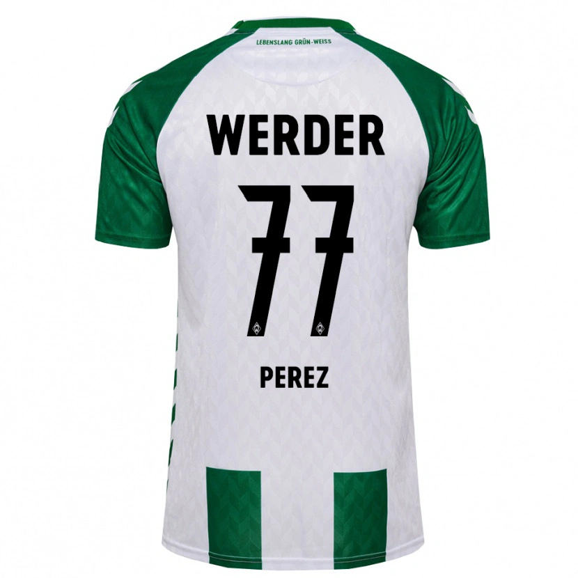 Danxen Mænd Catalina Pérez Jaramillo #77 Grøn Hvid Hjemmebane Spillertrøjer 2026/27 Trøje T-Shirt