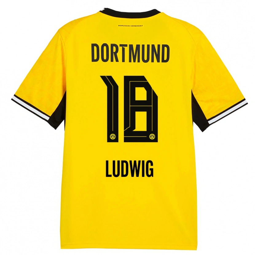 Danxen Mænd Michel Ludwig #18 Gul Sort Hvid Hjemmebane Spillertrøjer 2026/27 Trøje T-Shirt