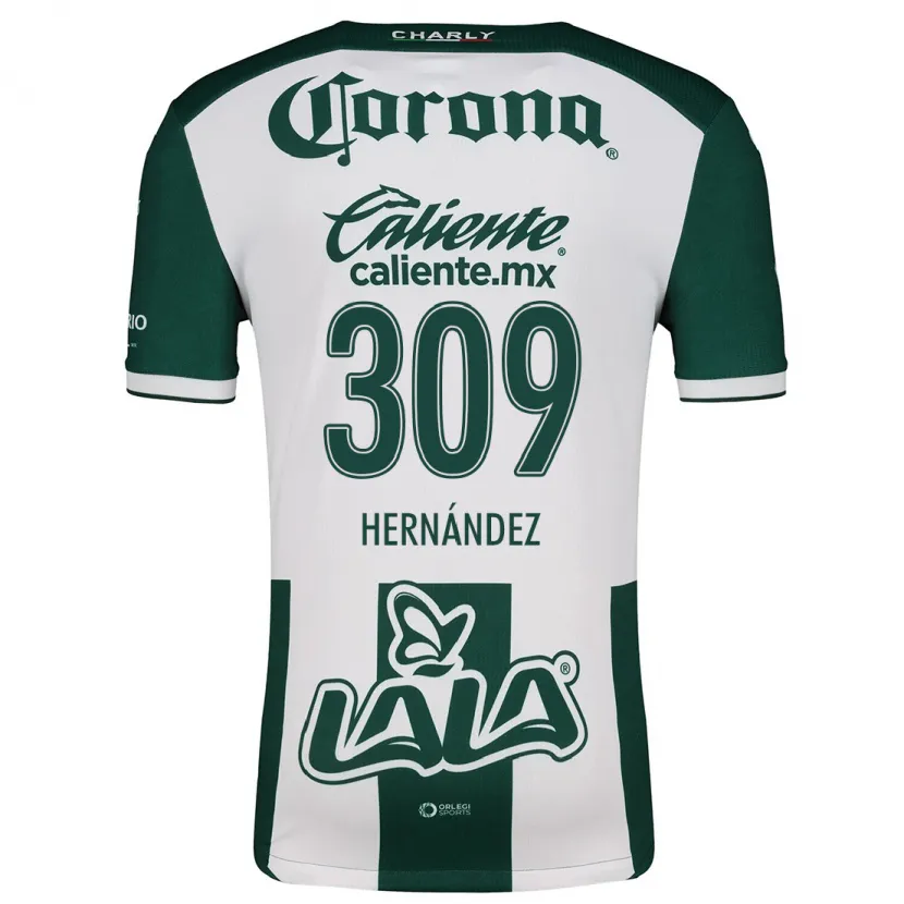 Danxen Børn Julio Hernández #309 Grøn Hvid Hjemmebane Spillertrøjer 2024/25 Trøje T-Shirt