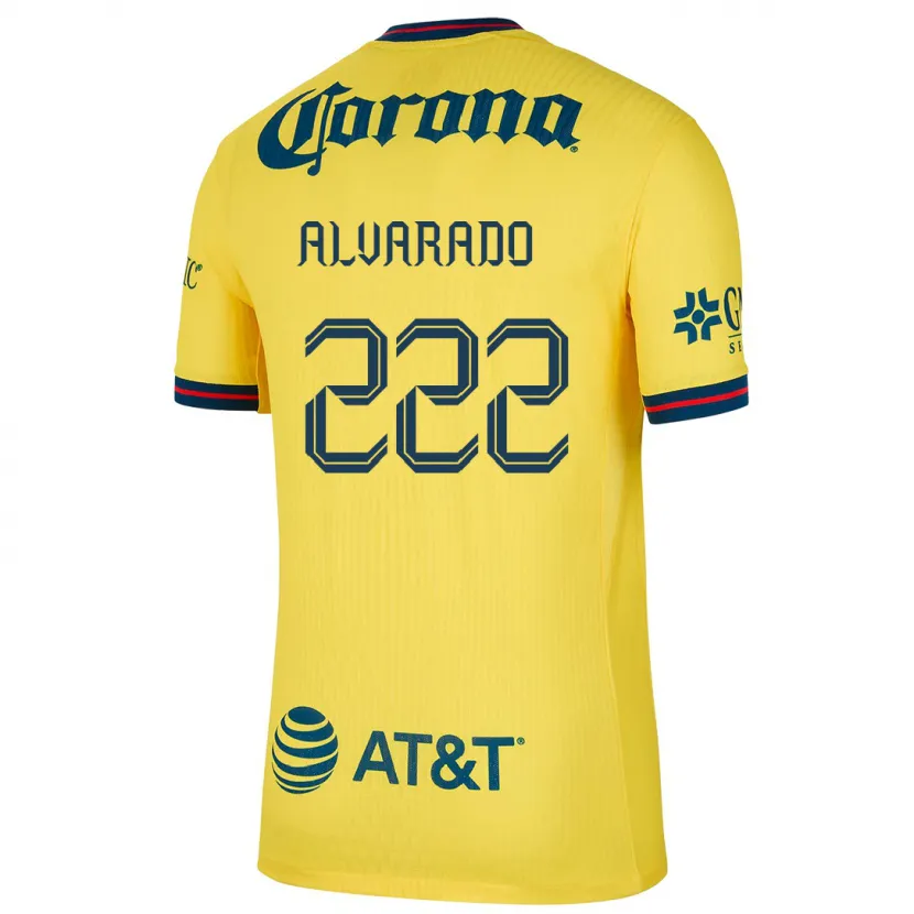 Danxen Børn Daniel Alvarado #222 Gul Blå Hjemmebane Spillertrøjer 2024/25 Trøje T-Shirt