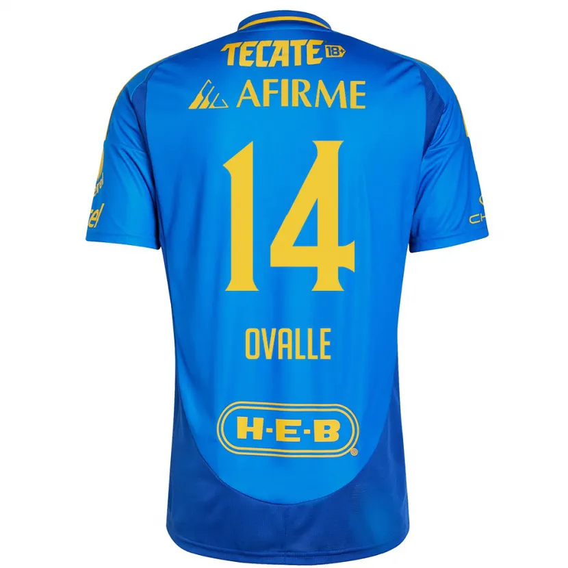Danxen Mænd Lizbeth Ovalle #14 Blå Gul Udebane Spillertrøjer 2024/25 Trøje T-Shirt