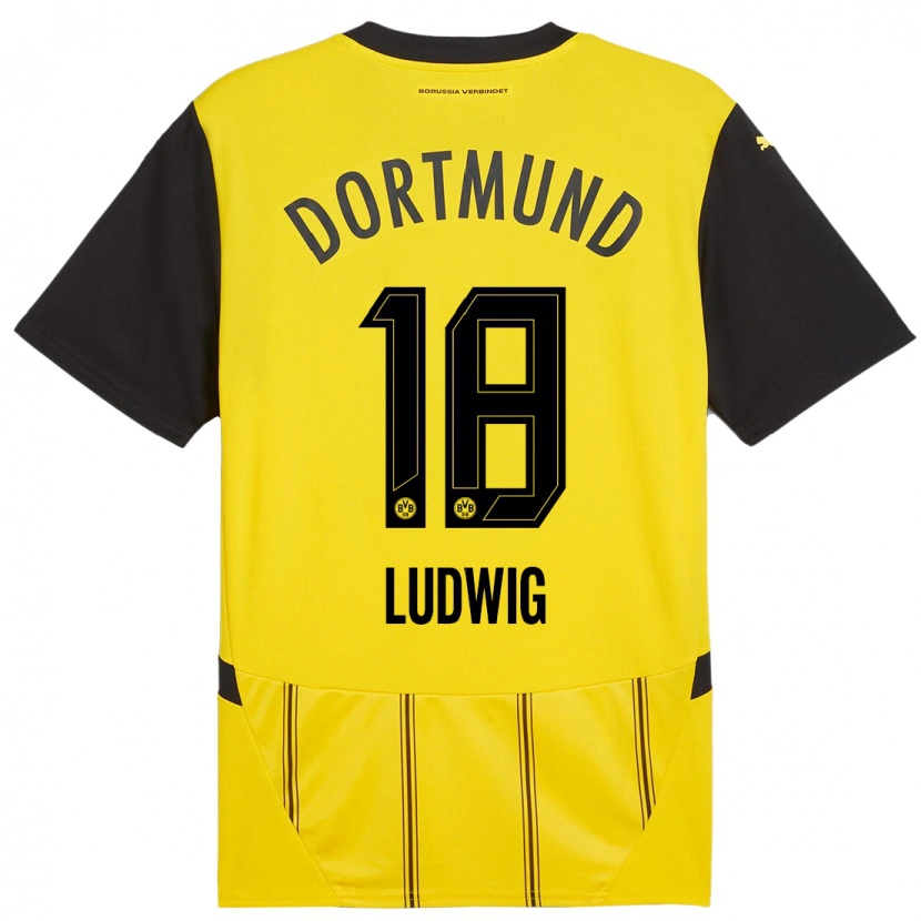 Danxen Børn Michel Ludwig #18 Gul Sort Hjemmebane Spillertrøjer 2024/25 Trøje T-Shirt