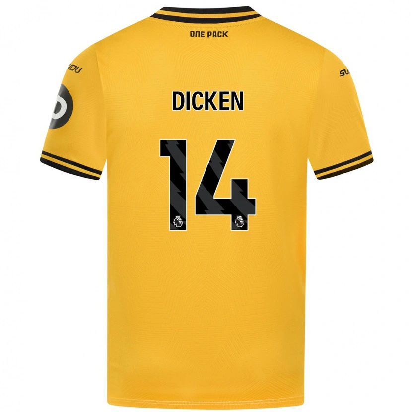 Danxen Mænd Amy Dicken #14 Gul Hjemmebane Spillertrøjer 2024/25 Trøje T-Shirt