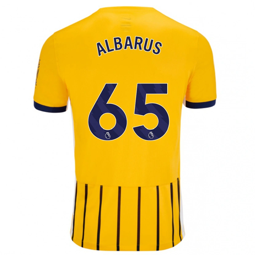 Danxen Kvinder Zane Albarus #65 Guldblå ​​Nålestriber Udebane Spillertrøjer 2024/25 Trøje T-Shirt