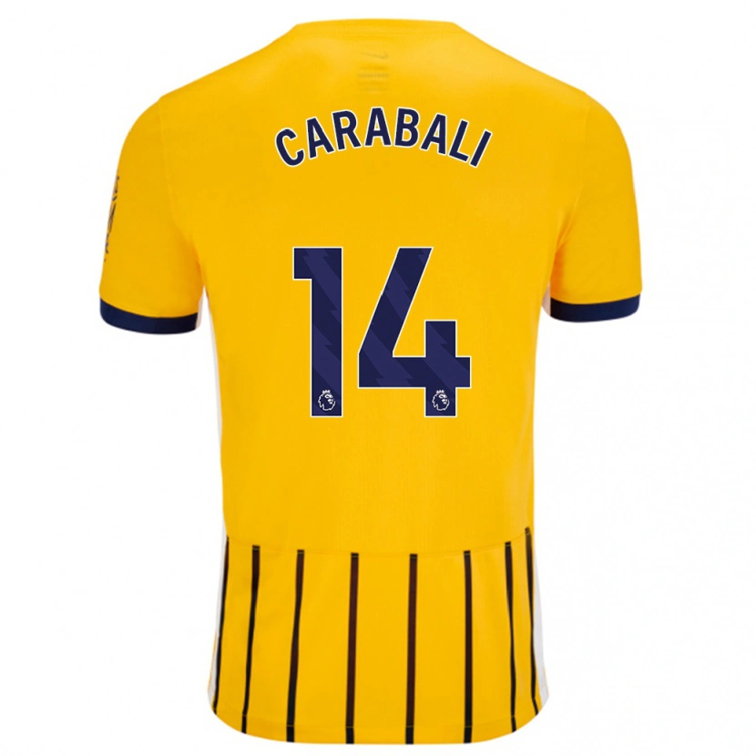 Danxen Kvinder Jorelyn Carabalí #14 Guldblå ​​Nålestriber Udebane Spillertrøjer 2024/25 Trøje T-Shirt