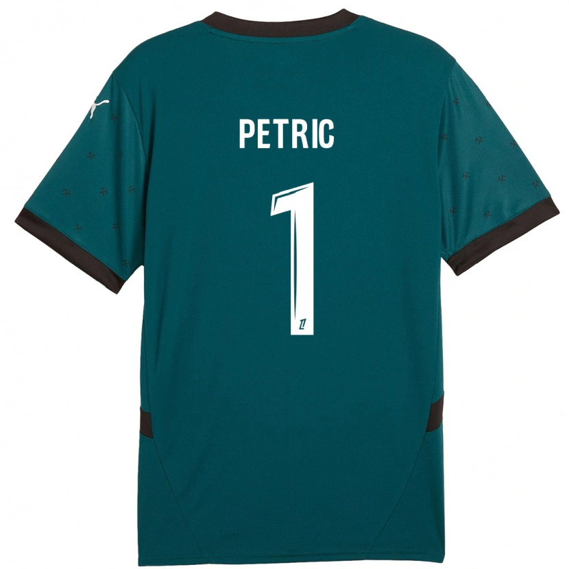 Danxen Mænd Denis Petric #1 Mørkegrøn Udebane Spillertrøjer 2024/25 Trøje T-Shirt