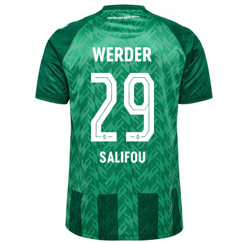 Danxen Børn Dikeni Salifou #29 Grøn Hjemmebane Spillertrøjer 2024/25 Trøje T-Shirt