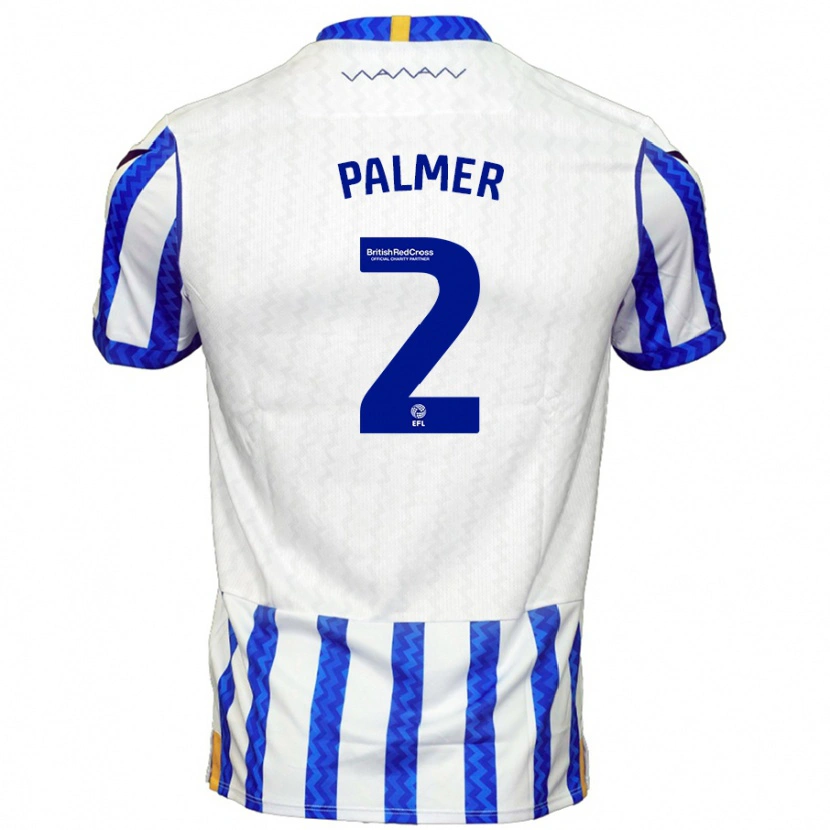 Danxen Mænd Liam Palmer #2 Blå Hvid Hjemmebane Spillertrøjer 2024/25 Trøje T-Shirt