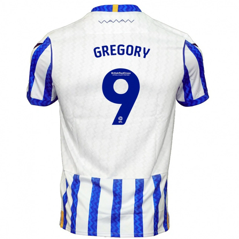 Danxen Mænd Lee Gregory #9 Blå Hvid Hjemmebane Spillertrøjer 2024/25 Trøje T-Shirt