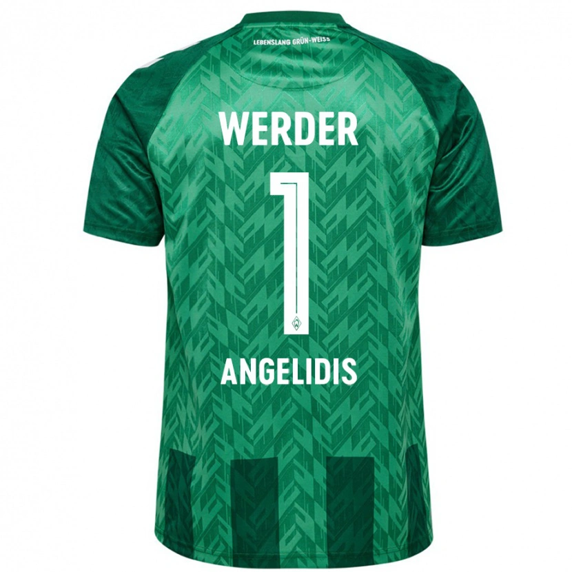 Danxen Mænd Spyros Angelidis #1 Grøn Hjemmebane Spillertrøjer 2024/25 Trøje T-Shirt