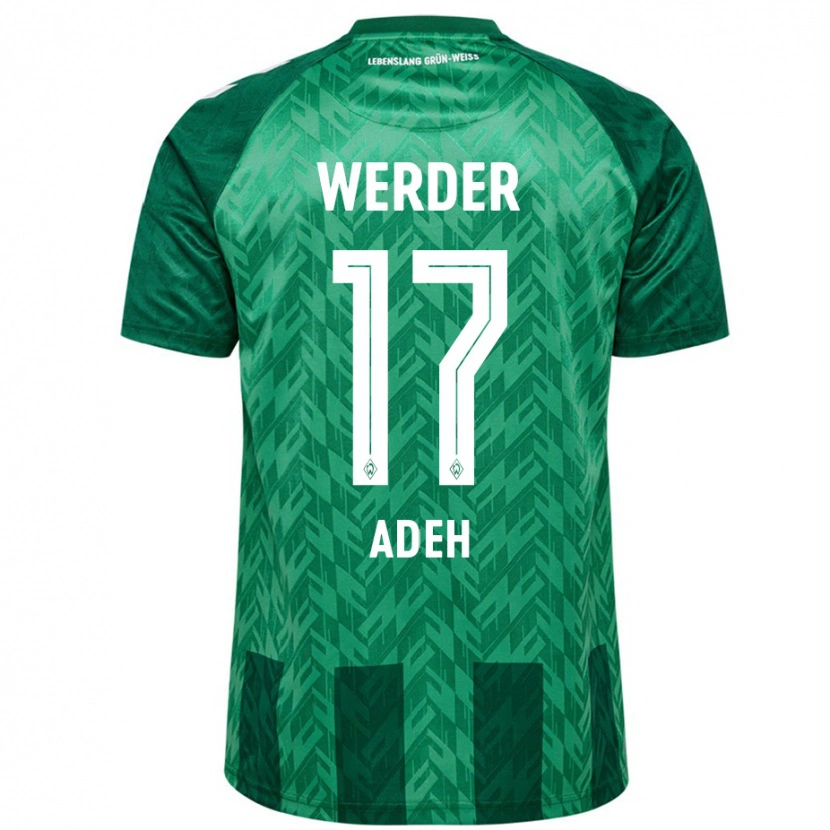 Danxen Mænd Bob-Ignatius Adeh #17 Grøn Hjemmebane Spillertrøjer 2024/25 Trøje T-Shirt