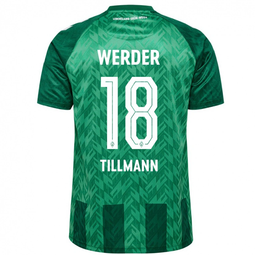 Danxen Mænd Felix Tillmann #18 Grøn Hjemmebane Spillertrøjer 2024/25 Trøje T-Shirt